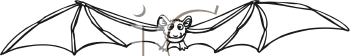 Insect Clipart
