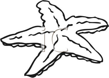 Fish and Sea Life Clipart