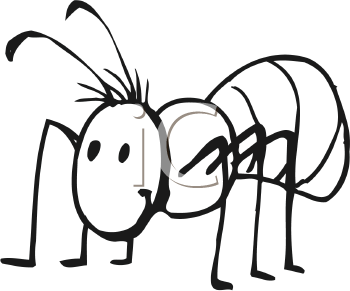 Insect Clipart