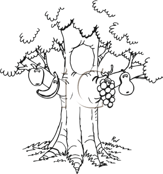 Nature and Scenic Clipart