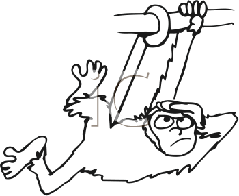 Primate Clipart