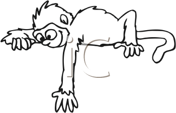 Primate Clipart