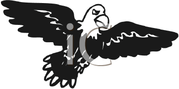 Insect Clipart