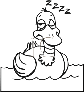 Bird Clipart