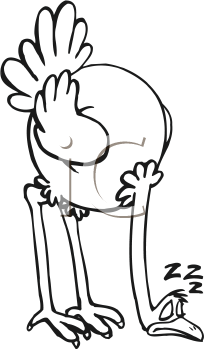 Bird Clipart