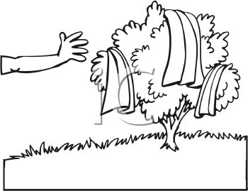 Cartoon Clipart