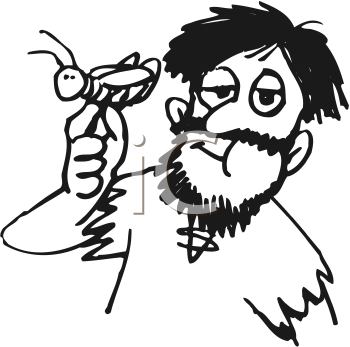 Insect Clipart
