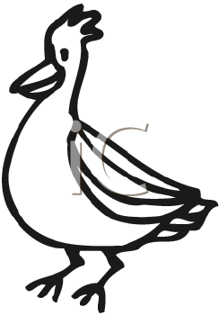 Insect Clipart
