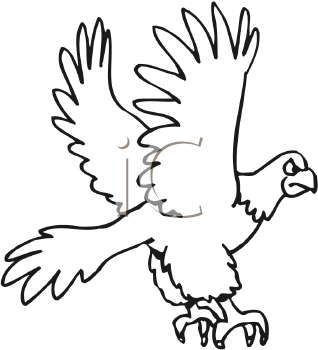 Bird Clipart