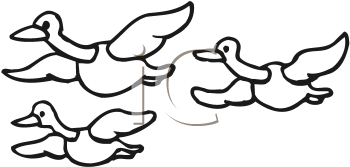 Insect Clipart