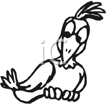 Bird Clipart