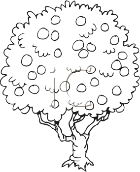 Nature and Scenic Clipart