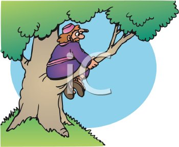 Nature and Scenic Clipart