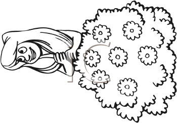 Nature and Scenic Clipart