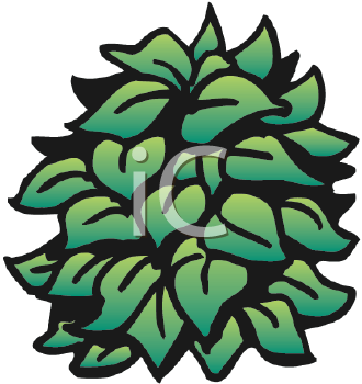 Nature and Scenic Clipart