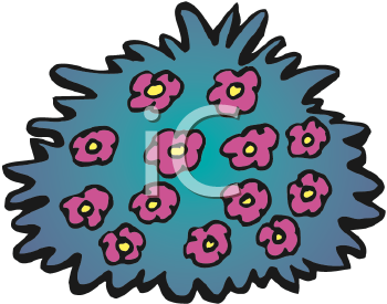 Flower Clipart