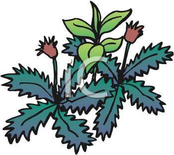 Nature and Scenic Clipart