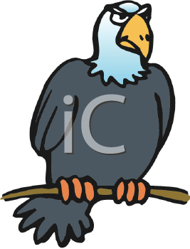 Bird Clipart