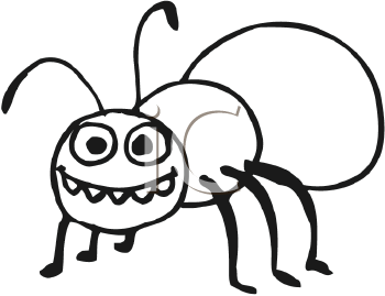 Insect Clipart