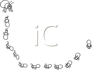 Insect Clipart