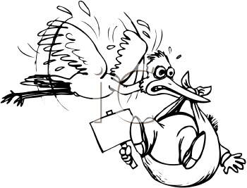 Insect Clipart