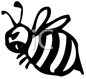 Insect Clipart