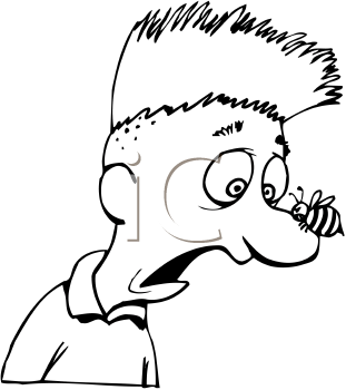 Insect Clipart