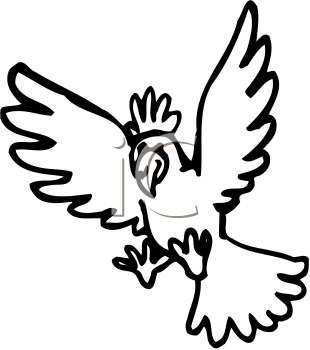 Bird Clipart