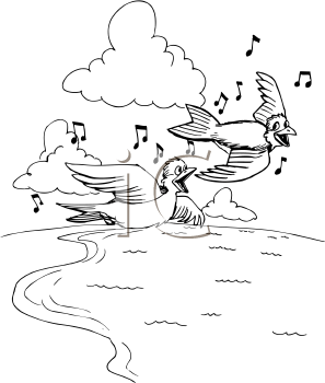 Insect Clipart