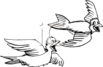 Insect Clipart
