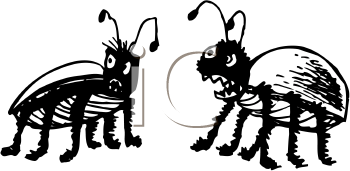 Insect Clipart