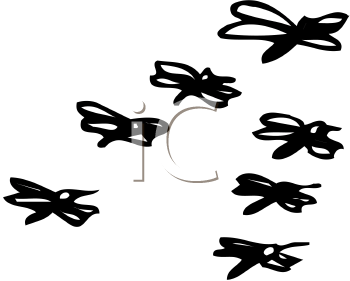 Insect Clipart