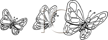 Insect Clipart
