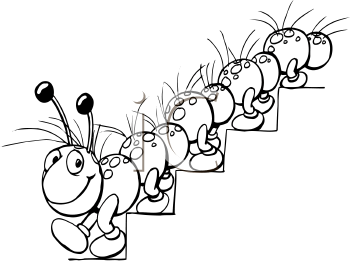 Insect Clipart