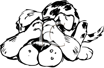 Pet Clipart