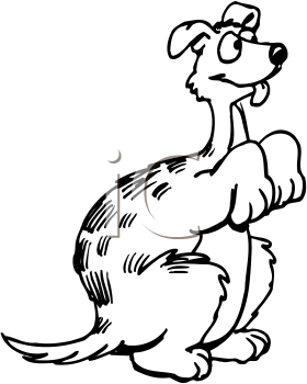 Pet Clipart