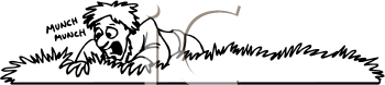 Insect Clipart