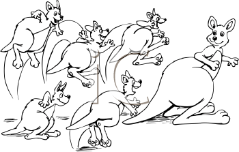 Marsupial Clipart
