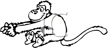 Primate Clipart