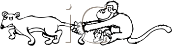 Primate Clipart