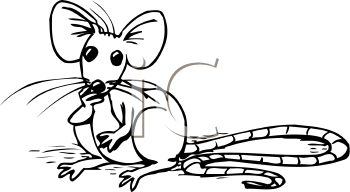 Rodent Clipart