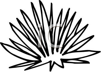 Cartoon Clipart