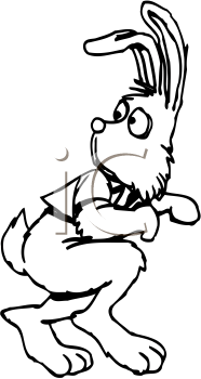 Pet Clipart