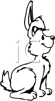 Pet Clipart