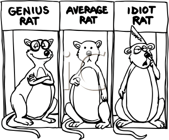 Rodent Clipart