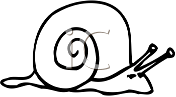 Mollusk Clipart