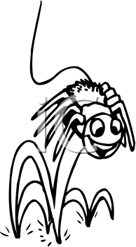 Insect Clipart