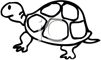 Reptile Clipart