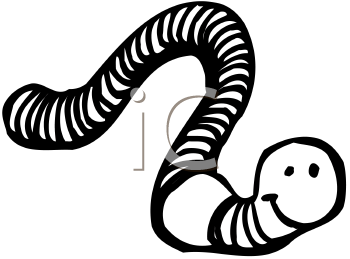 Invertebrates Clipart