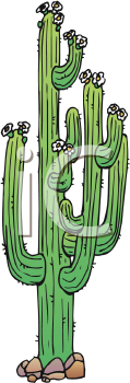 Plant Clipart